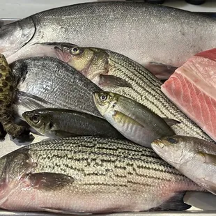 food, sashimi, sushi and sashimi, sushi