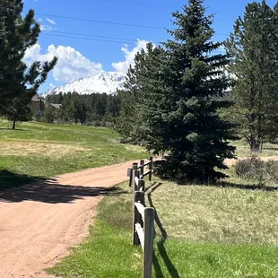 a dirt road and trees