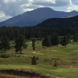 View from course