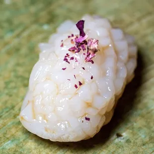 Scallop |