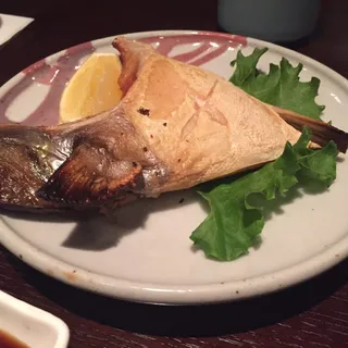 Yellowtail