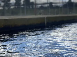 San Joaquin Fish Hatchery