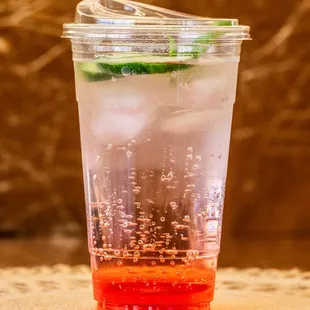 Watermelon Cucumber Spritzer -- light and fruity spritzer served with mint and cucumber slices