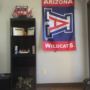 Bear Down Arizona!!!