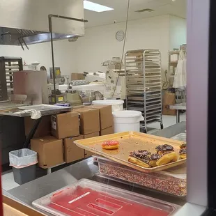 Looking In the Kitchen  11-22-2022