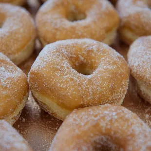 a closeup of a tray of doughnuts
