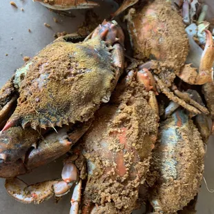 Juicy, hot, seasoned crabs!
