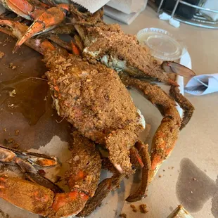 Crabs