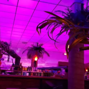 The vibe was laid back and friendly, interlaced with a fun story played on the projector any time a party purchased a special group drink