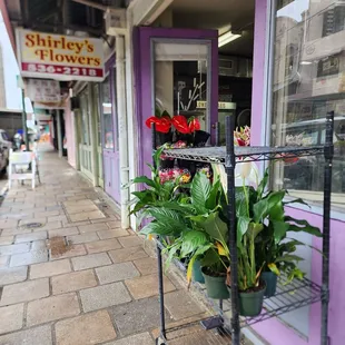 Outside - Store Front