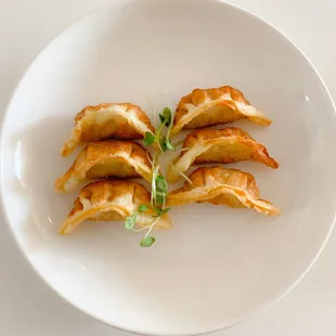 Gyoza