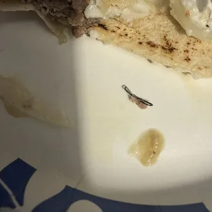 Shish Kafta Sandwich where I found a staple