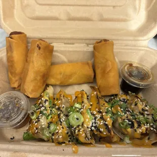 Gyoza and spring rolls