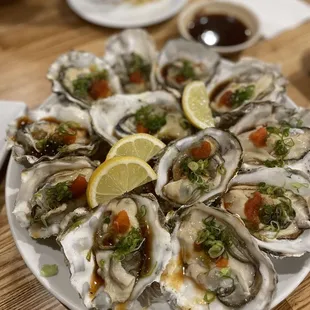 Oysters
