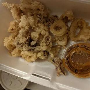 Calamari