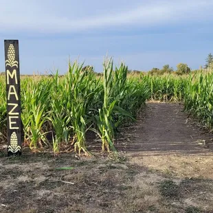 Get lost in our 3 acre corn maze during our fall festival at our pumpkin patch