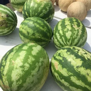 Melons for sale at $5 each