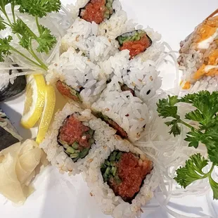 RR1. Spicy Tuna Roll