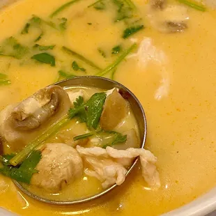 Chicken Coconut Soup