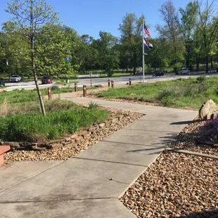 Front yard full of native plants