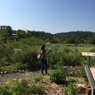 A very pretty place with lots of flowers.