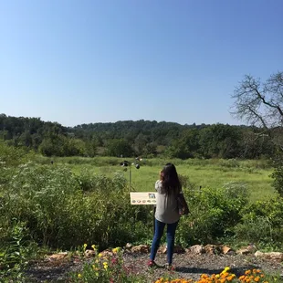 Lots of excellent habitat for birds and other small animals.