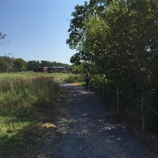 The trail leading to the visitors center. Part dirt, part gravel, part paved, but all an easy walk.