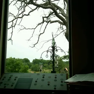 They have large glass windows with birdfeeders outside so you can watch them!