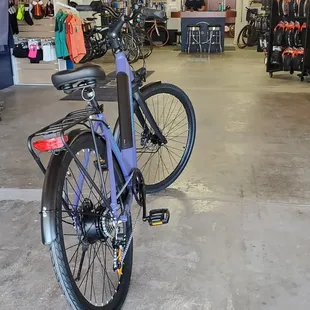 Low Step Geared Hub drive.   $1599