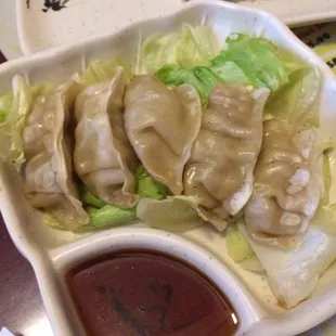 Gyoza