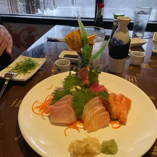 Sashimi Regular