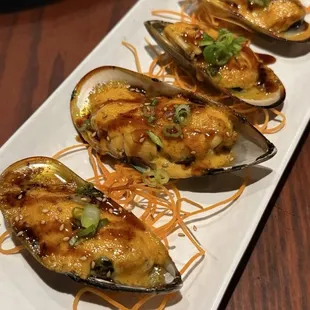 mussels, shellfish, oysters, food, oysters and mussels