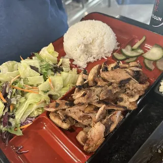 Combination Bento Box Plate