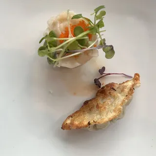 Gyoza Dumplings