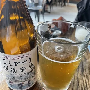 drink, oysters and mussels