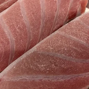 Fatty tuna