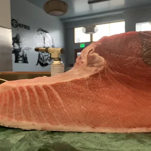 spain bluefin Tuna.