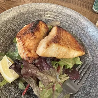 Grilled Miso marinated butterfish