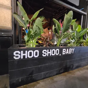 a planter in front of a shop