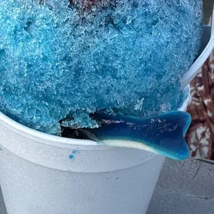 Snowball