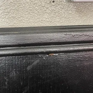 Bug is below the panel.