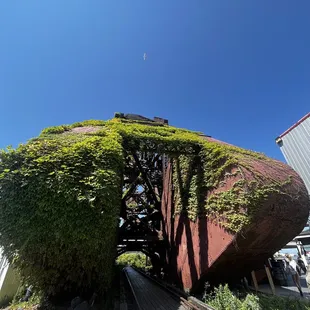 outside