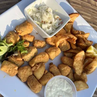 Walleye bites
