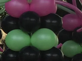 The Balloon Butler