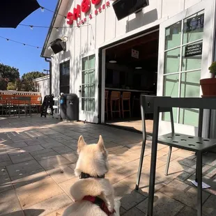 Cute patio!