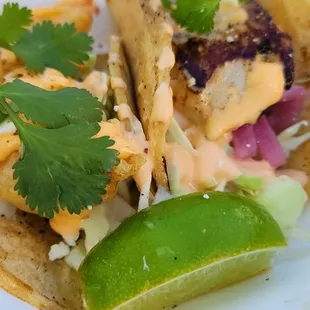 Fish tacos