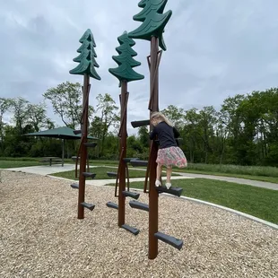 Lots of things to climb on !