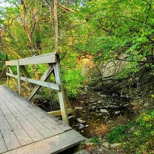 Stream nature trail