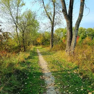 Wetlands trail second loop