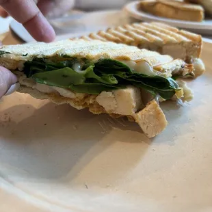 Delicious chicken panini